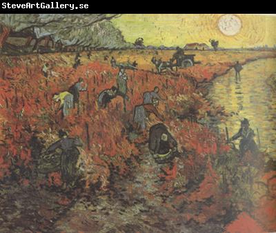 Vincent Van Gogh The Red Vineyard (nn04)